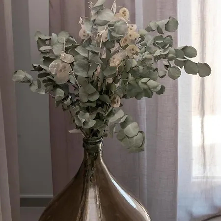 Casa Del Faro - Baia Flaminia